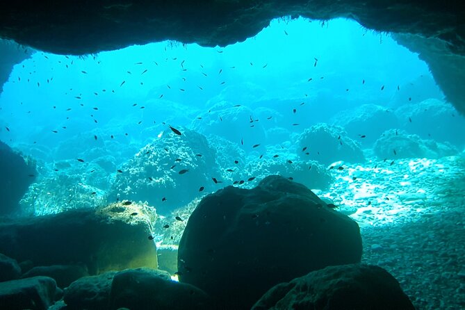 4h / 6h / 8h Elaphite Islands Tour with 7.5m/24FT SunDeck Boat - Skippers, timing, and the feel of the day