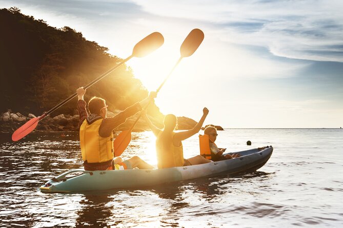 Afternoon Dubrovnik Guided Kayaking Tour - Price, group size, and practical value