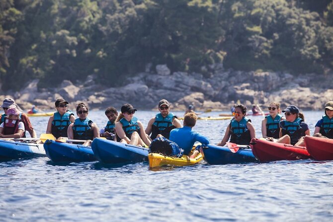 Afternoon Kayaking in Dubrovnik - Key points to know before you book