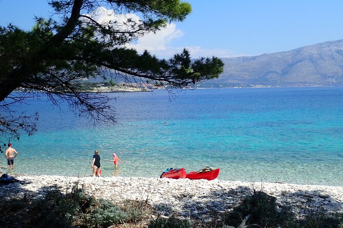 Bits of History - Half day kayak Tour with Wine delight - The guide makes or breaks the morning
