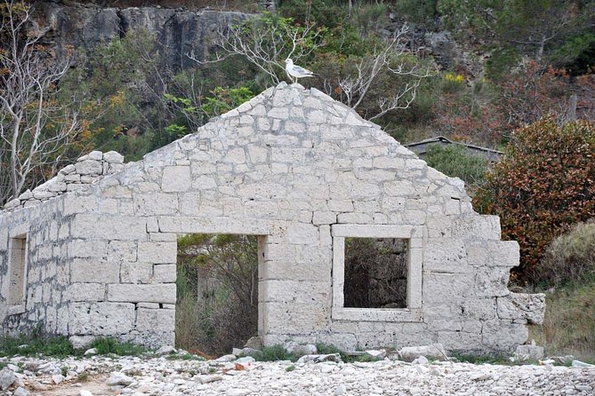 Bits of History - Half day kayak Tour with Wine delight - How much value do you get for $78.64?