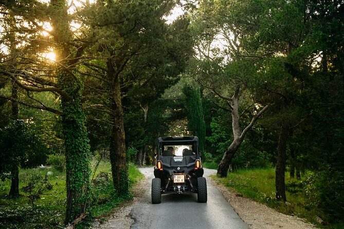 Buggy Dubrovnik Safari Tour (Private) - Mount Srd: Dubrovnik from above