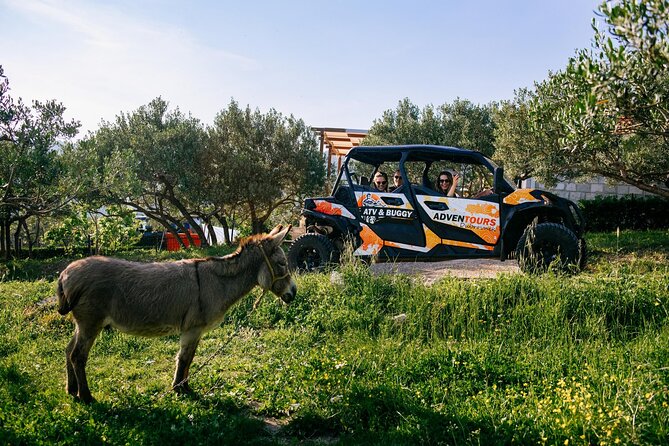 Buggy Dubrovnik Safari Tour (Private) - The Dubrovnik Observation Point at 415 meters