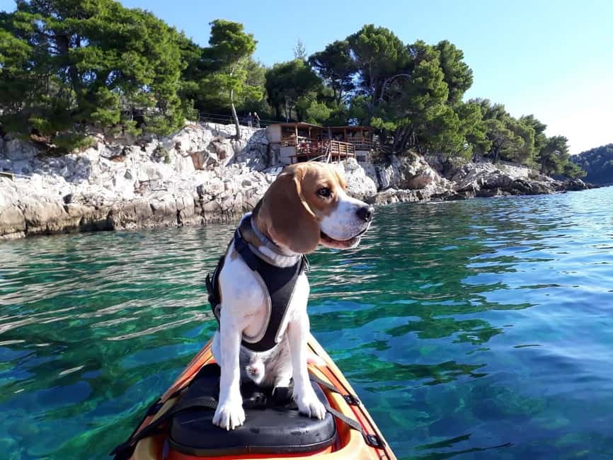 Cavtat: 'Pomalo' Guided Sea Kayaking Tour - Why kayaking gives you a better view of Cavtat