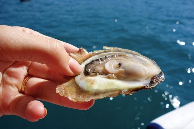 Classic Tour with Wine Tastings from Dubrovnik - Why this day trip works from Dubrovnik