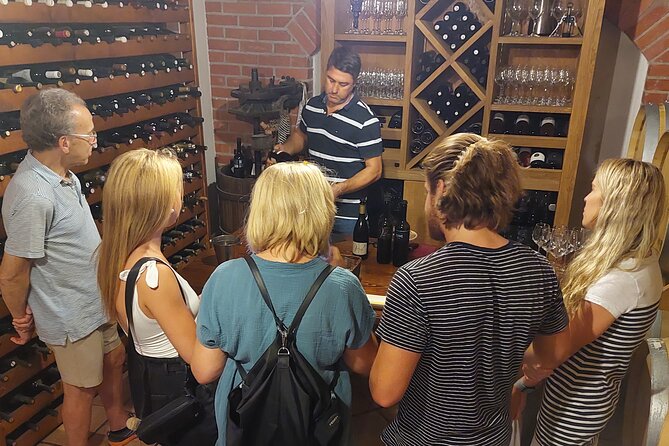 Classic Tour with Wine Tastings from Dubrovnik - Ston: walls, salt, and a very small town