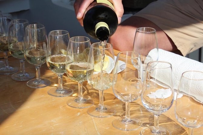 Classic Tour with Wine Tastings from Dubrovnik - Is $235.89 a fair price?