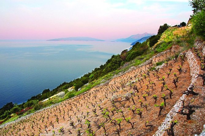 Classic Tour with Wine Tastings from Dubrovnik - The road to Peljesac and the first taste
