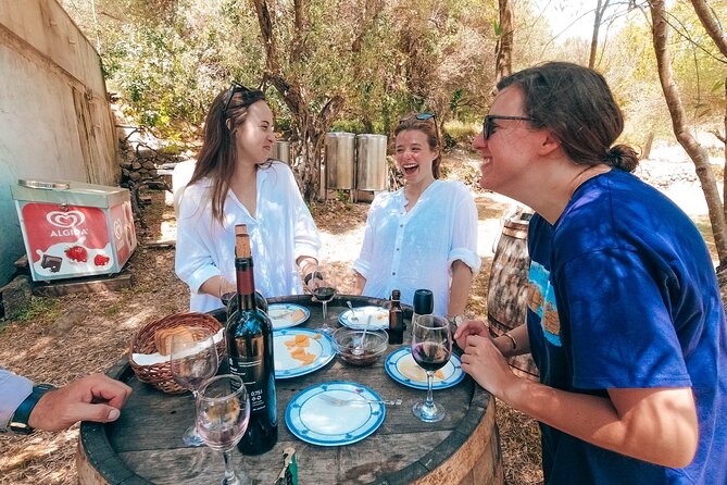 Coastal Vineyards: A Dream Wine Tour to Elaphiti Islands - Key points at a glance