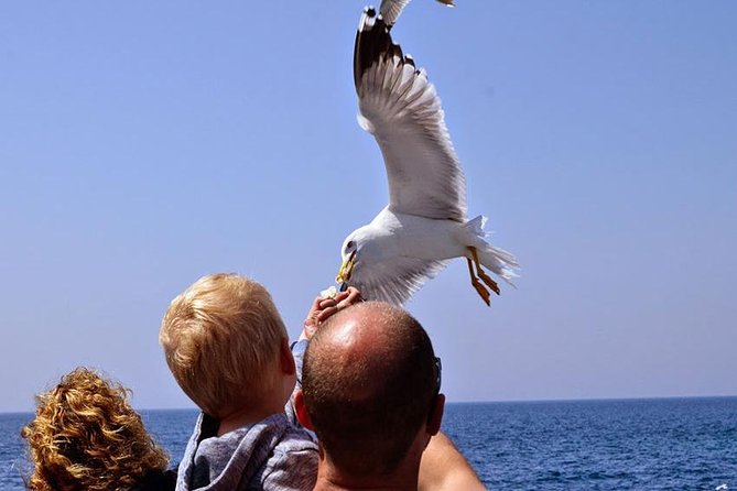 Day Cruise in the Elafiti Islands from Dubrovnik - Lunch and drinks shape the day