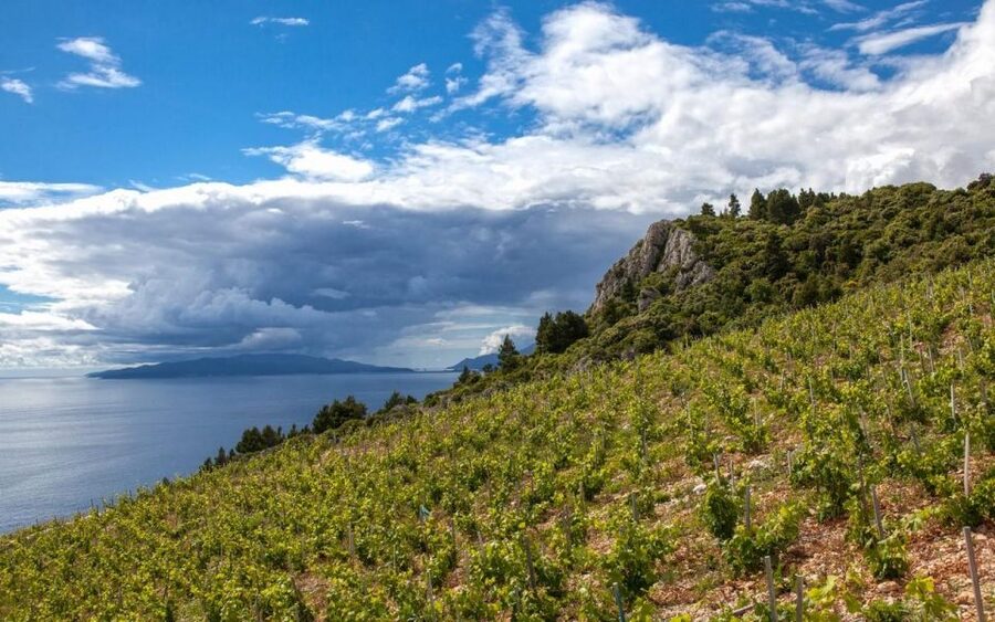 Day Tour from Dubrovnik - Korčula and Pelješac Wine Tasting - Why this Dubrovnik day trip works