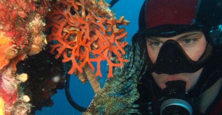 Dubrovnik: 1-Day Diving Package - How Blue Planet matches you with a site