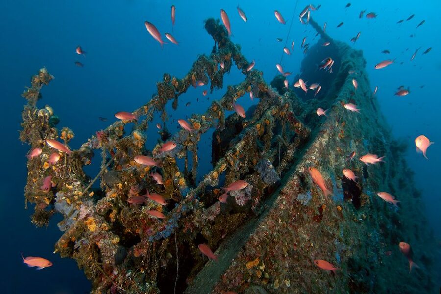 Dubrovnik: 1-Day Diving Package - Boat sites with wrecks, caves, and Lokrum