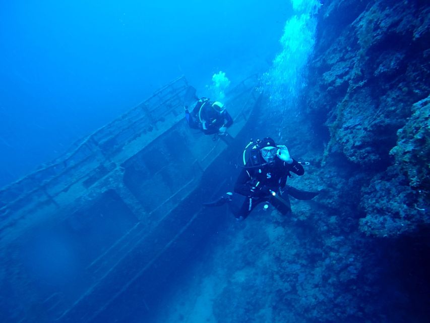 Dubrovnik: 1-Day Diving Package - What the water and wildlife are like