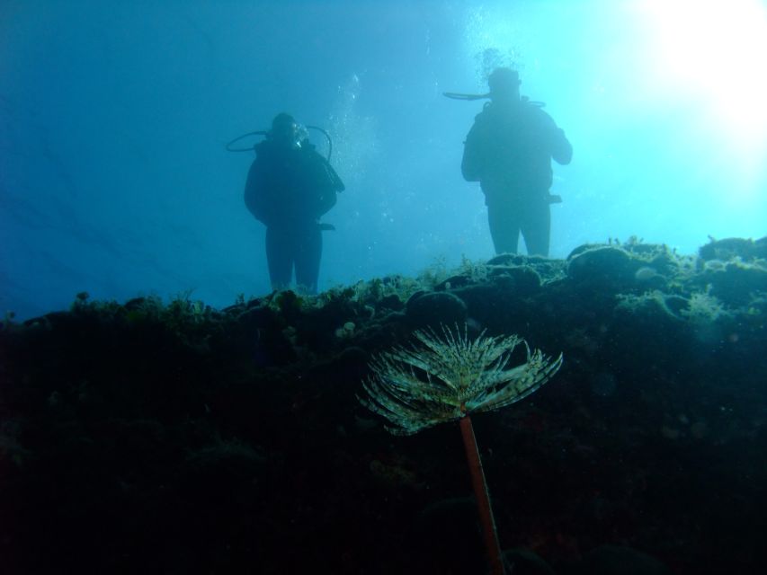 Dubrovnik: 1-Day Diving Package - Getting to the center and using the break