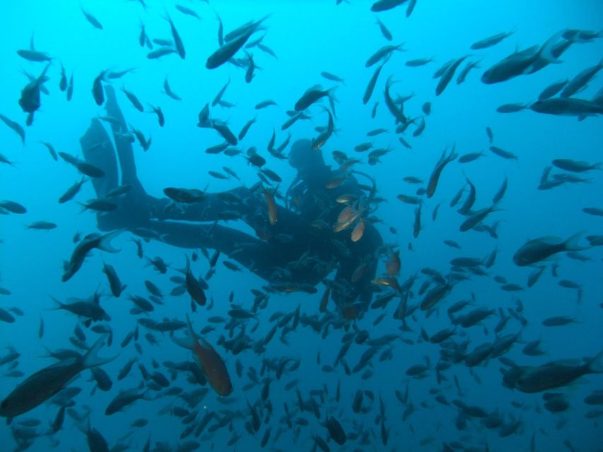 Dubrovnik: 1-Day Diving Package - Little Africa and the shallow shore sites