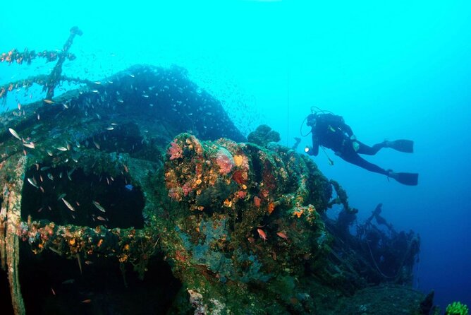 Dubrovnik 1 Dive for Certified Divers - What your 2.5 hours in Dubrovnik look like