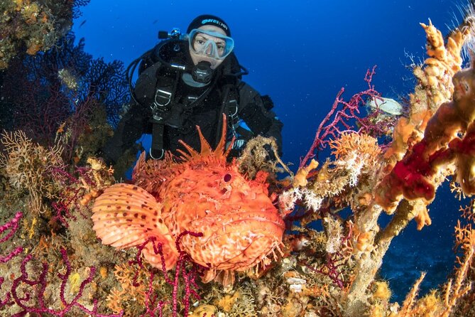 Dubrovnik 1 Dive for Certified Divers - Who will get the most from this experience