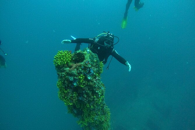 Dubrovnik 1 Dive for Certified Divers - Meeting point, access, and practical planning