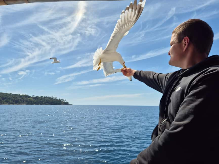 Dubrovnik: 3 Island Boat Tour with Lunch and Guide - Key points at a glance