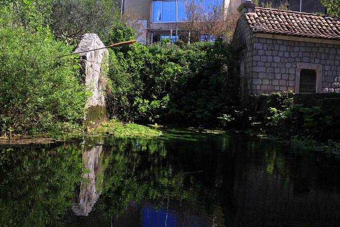 Dubrovnik: Best views Sightseeing Tour - Timing, meeting point, and practical details