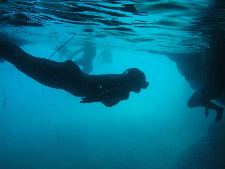 Dubrovnik: Blue Cave & Sunj Beach Boat Tour with Drinks - Speeding out from Dubrovnik to the Elaphiti Islands