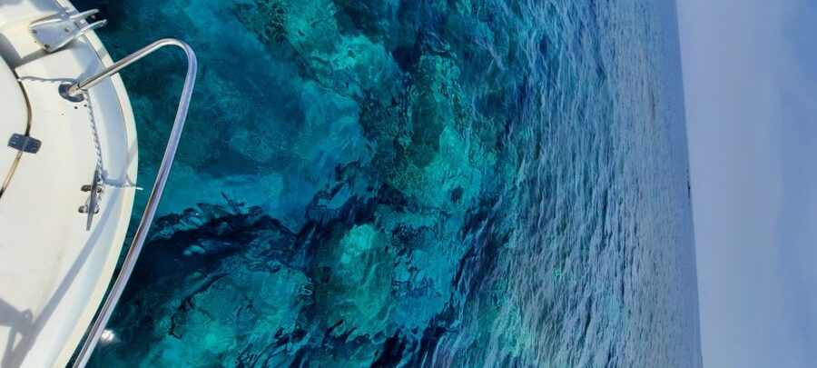 Dubrovnik: Blue Cave Tour by Speedboat - The open speedboat ride to Koločep
