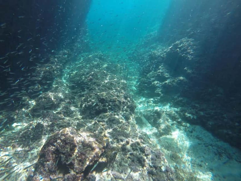Dubrovnik: Blue Cave Tour by Speedboat with Small Group - What $80 includes, and what it does not