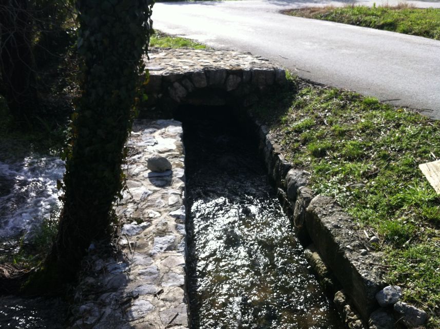 Dubrovnik: Cavtat and Konavle Half-Day Private Tour - Should you book the Cavtat and Konavle tour?