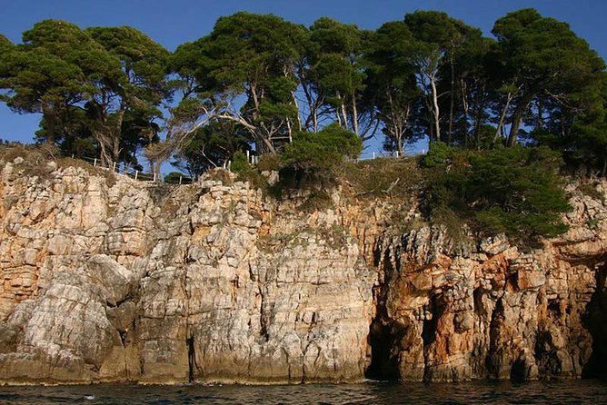 Dubrovnik Elafiti Islands Cruise with Lunch, Drinks and Pickup - What the crew does well