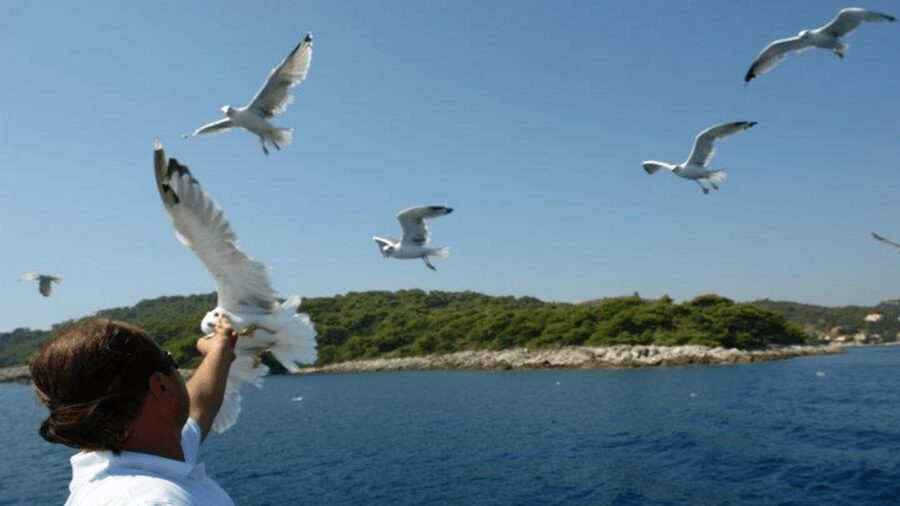 Dubrovnik: Elaphiti Islands Boat Cruise with Lunch & Drinks - Practical packing and timing advice