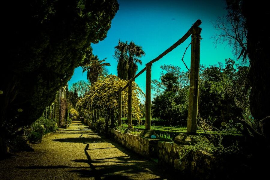 Dubrovnik: Game of Thrones Complete Tour - Trsteno Arboretum, the King’s Landing gardens