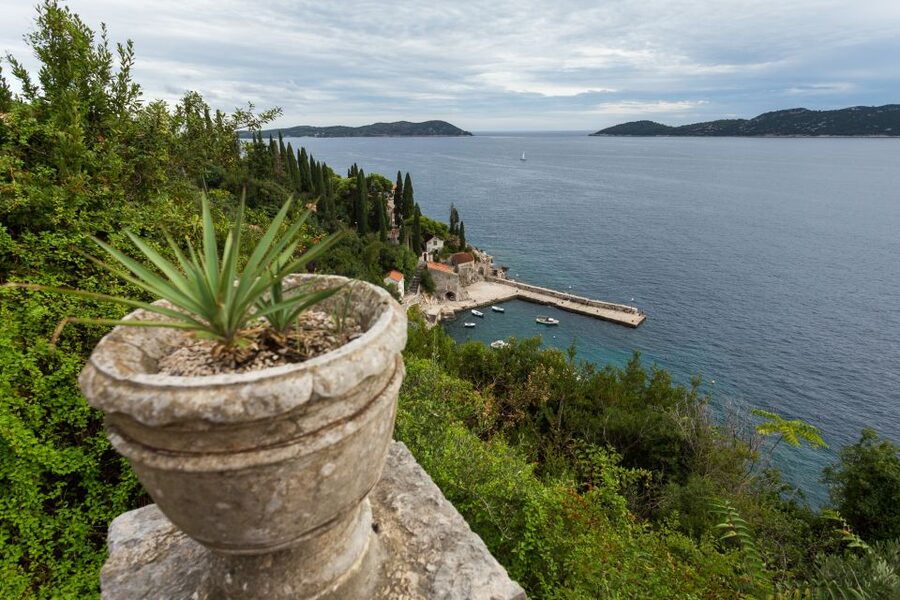 Dubrovnik: Game of Thrones Full-Day Private Tour - Trsteno Arboretum and the gardens of King’s Landing