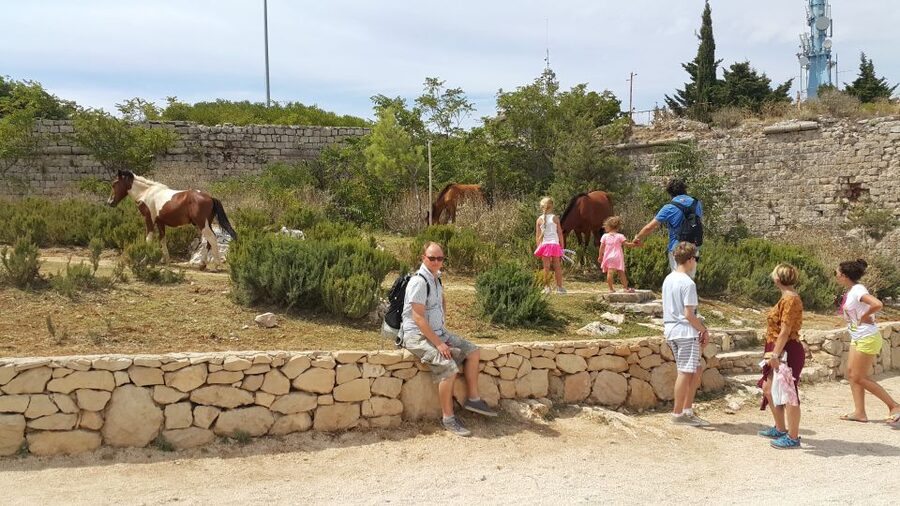 Dubrovnik: Game of Thrones Locations Driving Tour - Meeting at Pile Gate or Port Gruz