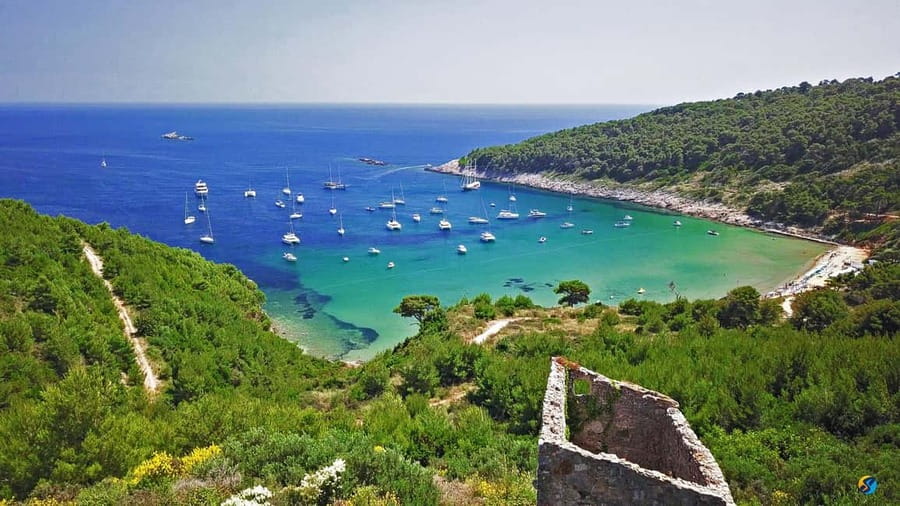 Dubrovnik: Half-Day Boat Tour to Elaphite Islands 4h - Šunj Beach gives you the longest break