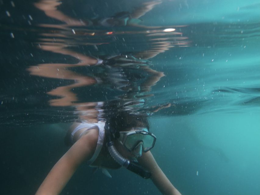 Dubrovnik: Half-Day Private Boat Trip to Elafiti Islands - Who Will Get the Most From This Trip