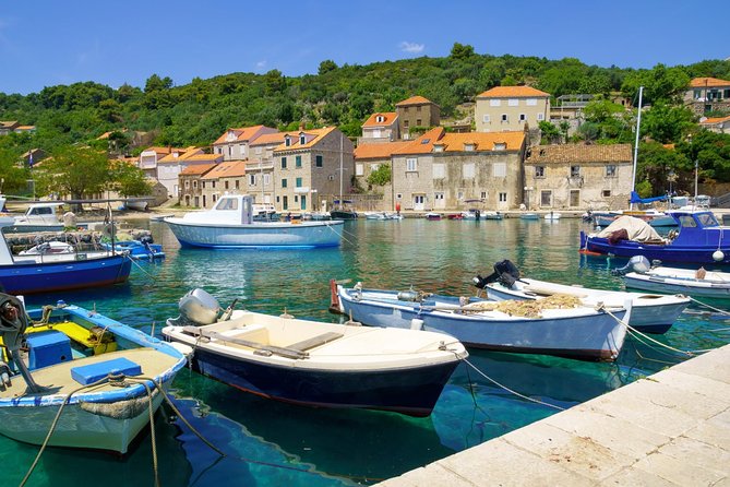Dubrovnik Island-Hopping Cruise in the Elaphites with Lunch - Koločep: citrus gardens, cliffs, and a short island walk