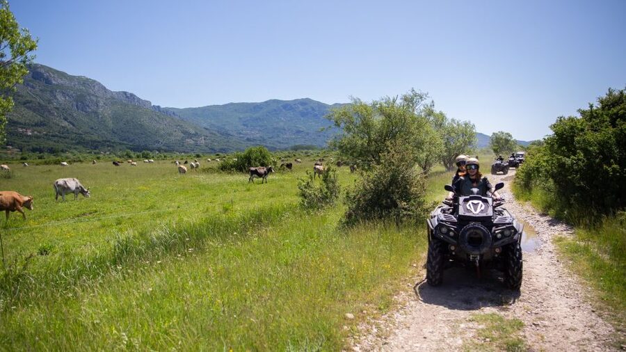 Dubrovnik: Kojan Koral ATV Quad Safari with transport - Who will enjoy this most?