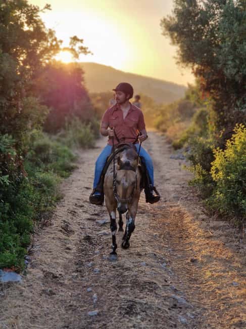 Dubrovnik Kojan Koral: Horseback Riding - Key points to know before you book