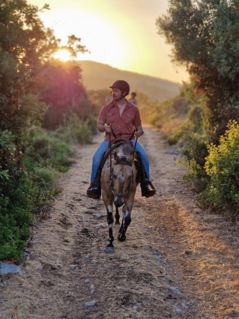 Dubrovnik Kojan Koral: Horseback Riding - Leaving Dubrovnik for the Konavle countryside