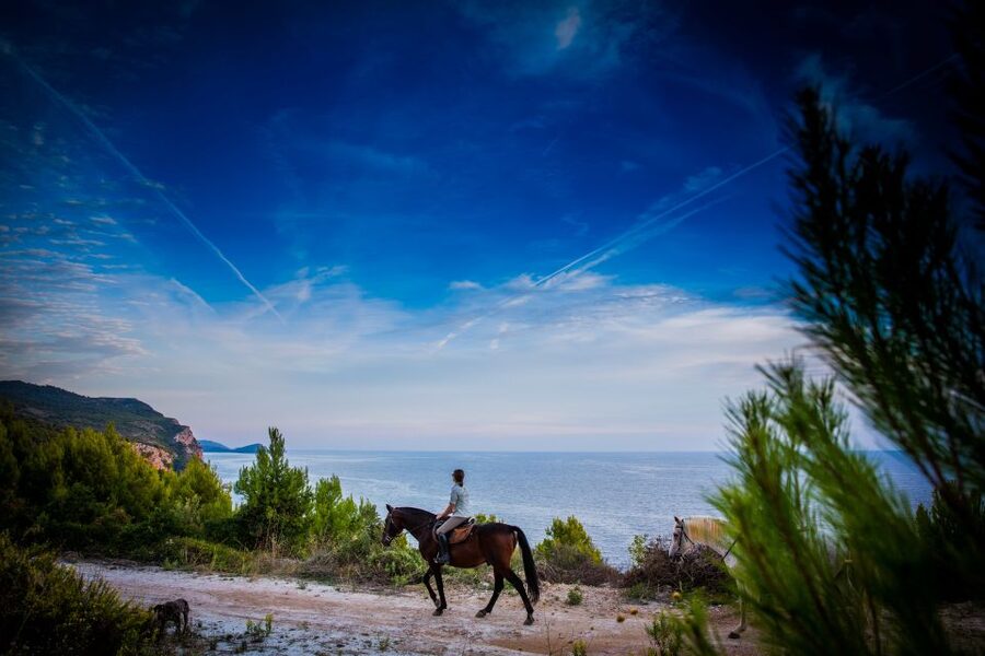 Dubrovnik Kojan Koral: Horseback Riding - Two hours through forest and stone