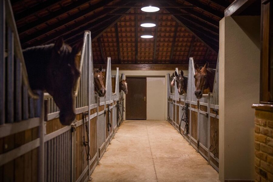 Dubrovnik Kojan Koral: Horseback Riding - What to bring and how to prepare