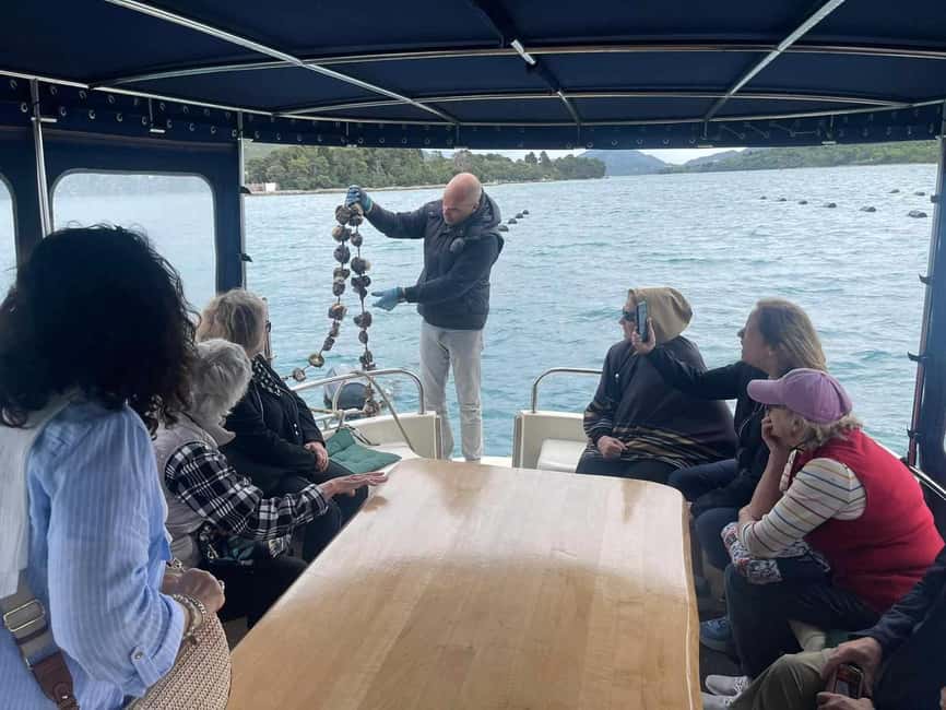 Dubrovnik: Oyster, Mussles, and Wine Tasting Tour in Ston - Is $176 a fair price?
