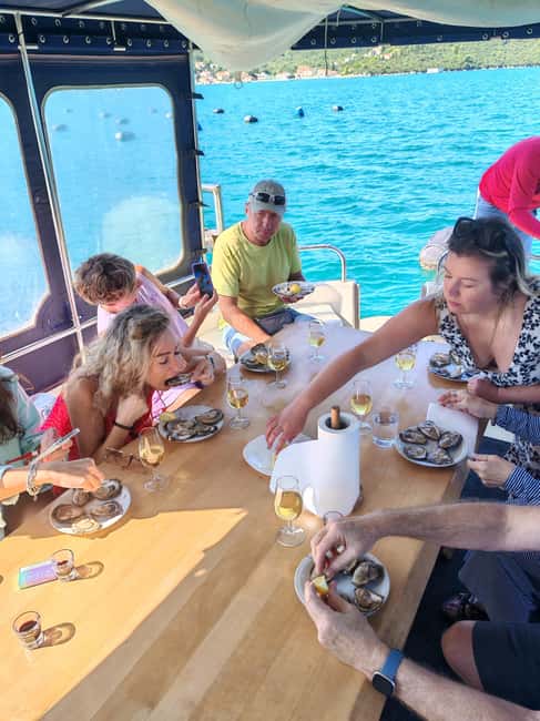 Dubrovnik: Oyster, Mussles, and Wine Tasting Tour in Ston - Who should book this experience?