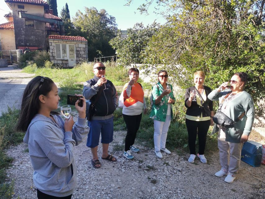 Dubrovnik: Panorama Tour with Free Time in the Old Town - Three hours to make your own Dubrovnik plan
