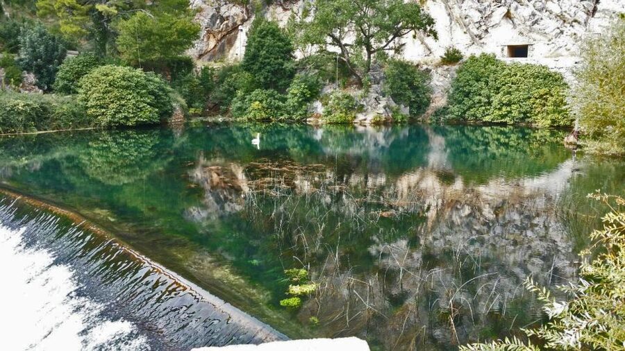 Dubrovnik: Private Cooking Experience with Wine Tasting - Wine tasting in Ston and Peljesac