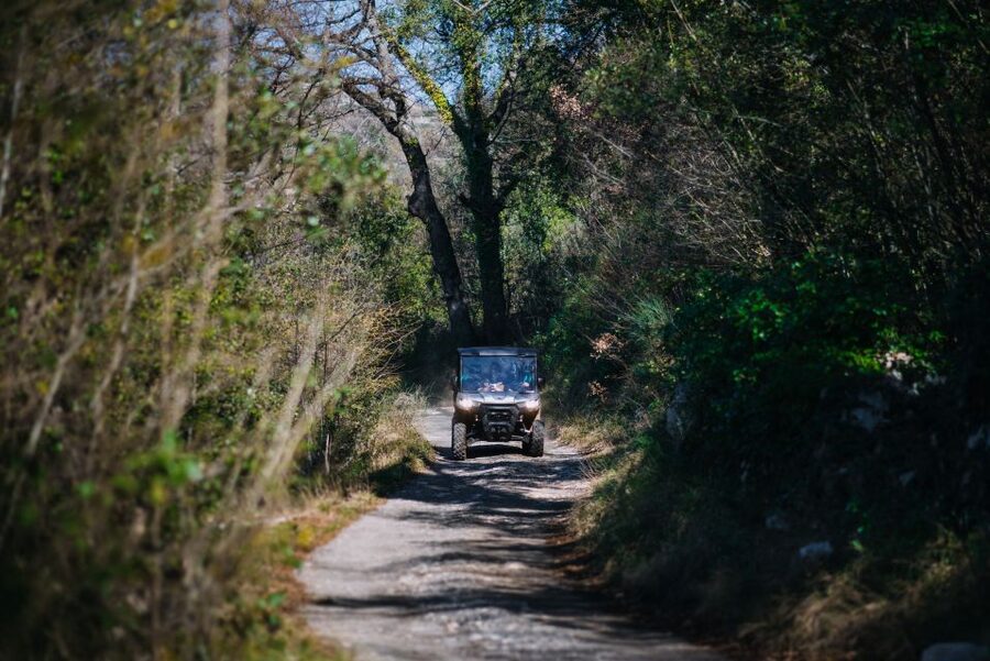 Dubrovnik: Private Panoramic Half-Day Buggy Tour with Brunch - Olive tree roads and the small village of Ljubac