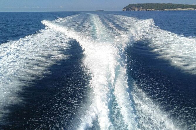 Dubrovnik Private Speed Boat Tour to the Islands - Is this Dubrovnik boat tour worth booking?