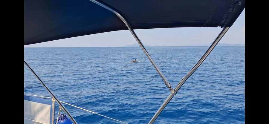 Dubrovnik yacht cruise-Elafity islands & Blue cave - The long return under sail