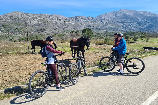 E-Bike Tour + Gourmet Lunch + Wine Tasting (Small Group) - Who will get the most from this tour